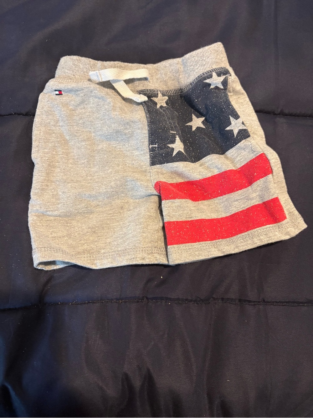 Tommy Hilfiger Kids Gray Shorts with Red and Navy Flag Detail 12MTHS